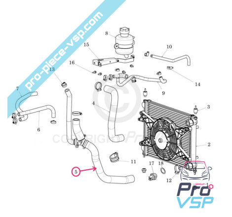 Lower radiator hose