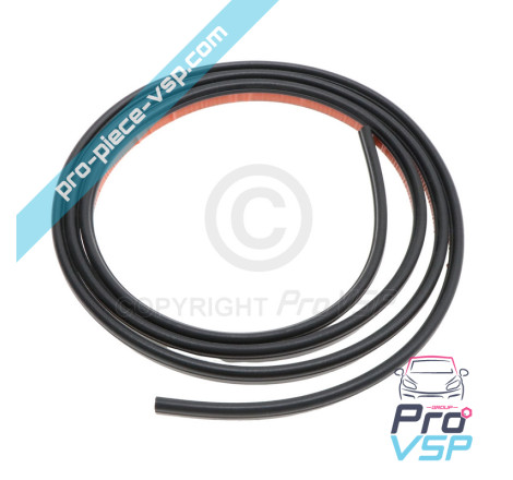Windshield seal