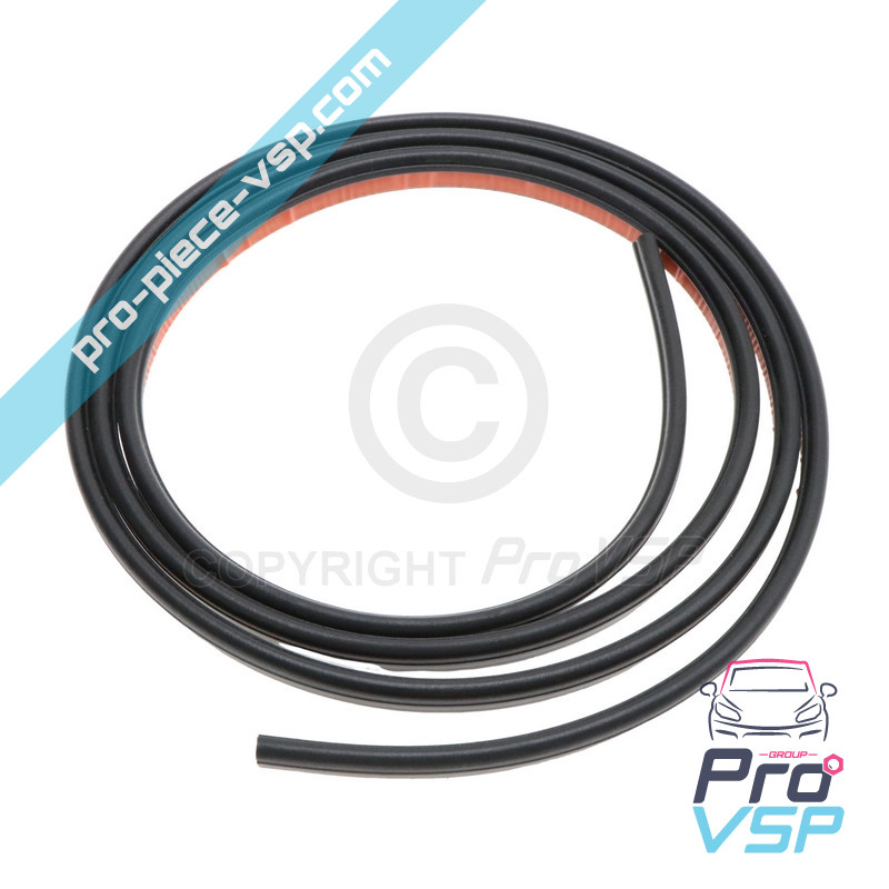 Windshield seal