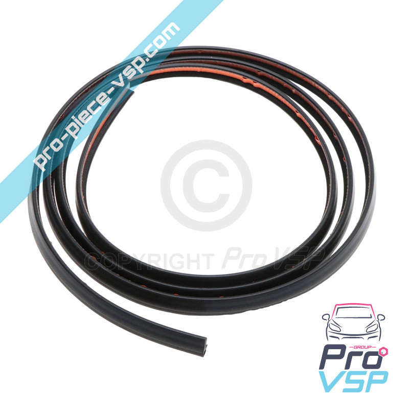 Windshield seal