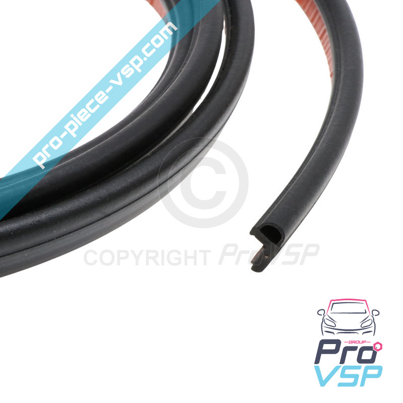 Windshield seal