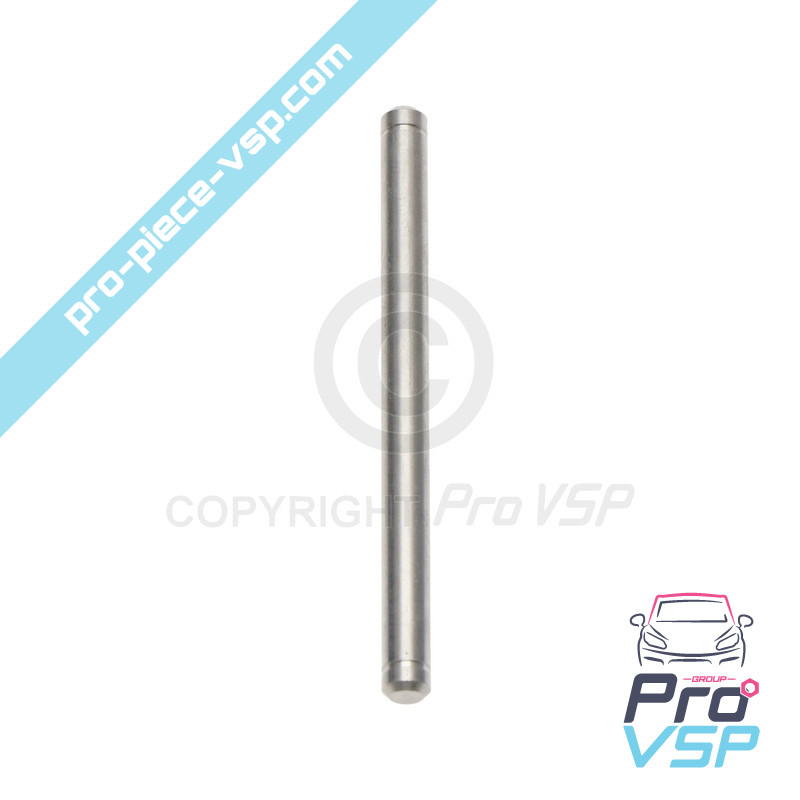 Door hinge axle