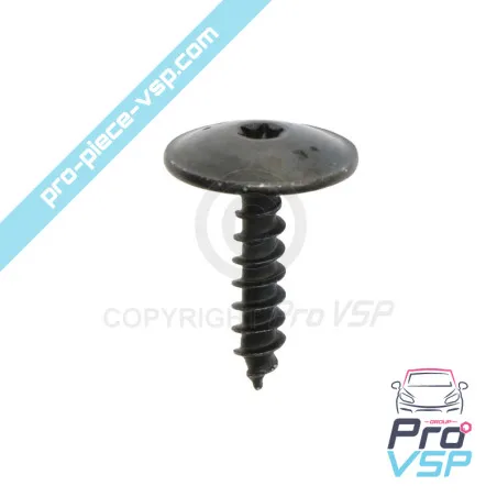 Vis de carrosserie origine pour Citroën Ami / Opel Rocks-E