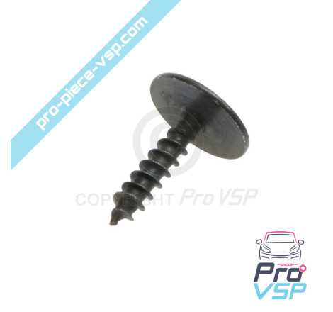 Body screw