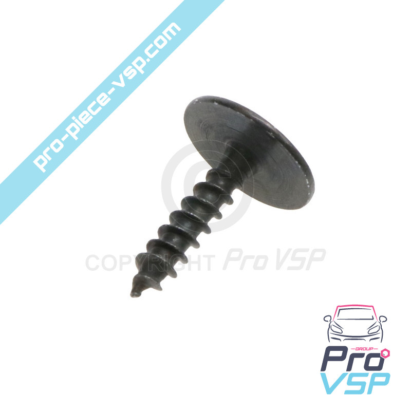 Body screw