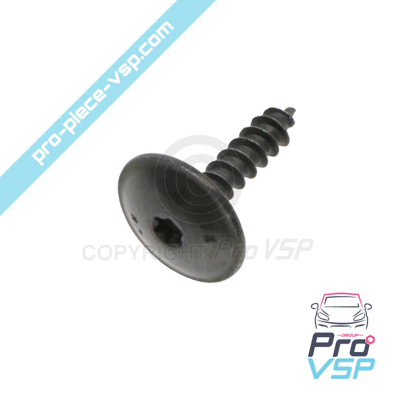 Body screw