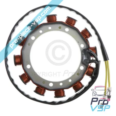 Engine load coil Lombardini