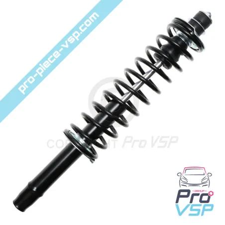 Front shock absorber adaptable for Ligier Nova