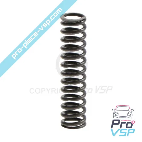 Engine oil pump spring Lombardini DCI 492 480