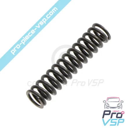 Molla a pompa dell'olio motore Lombardini DCI 492 480