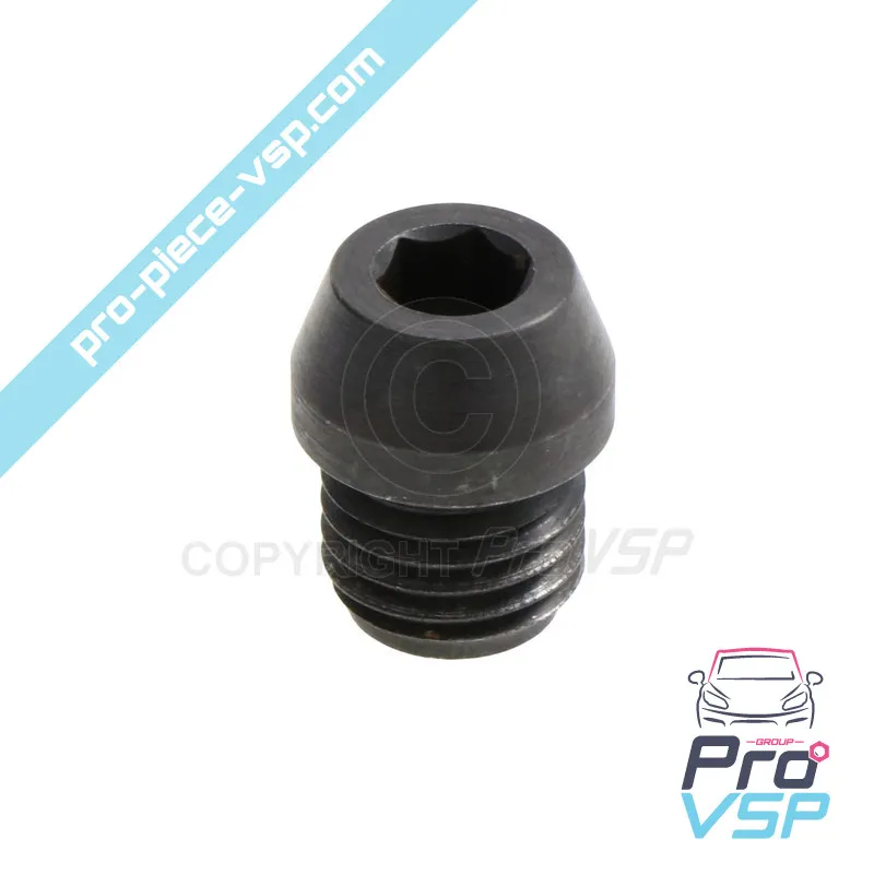 Engine oil pump cap Lombardini DCI