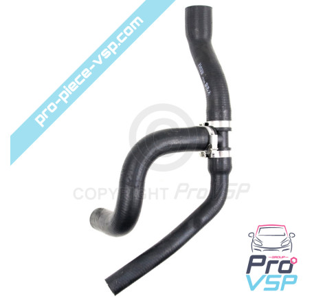 Radiator superior hose