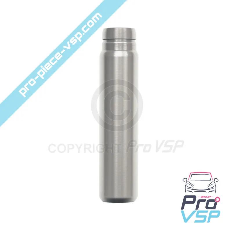 Guide de soupape d'échappement pour moteur Lombardini DCI