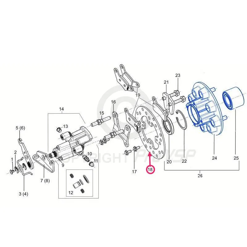 Rear brake disc