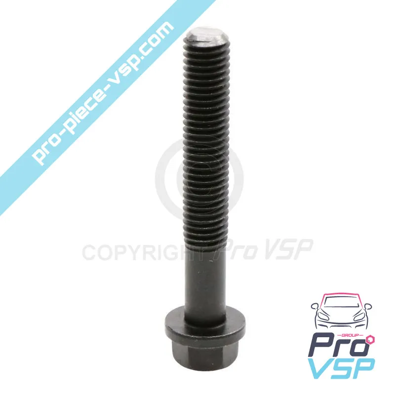 Vis de culasse origine pour moteur Lombardini LGW 523 MPI