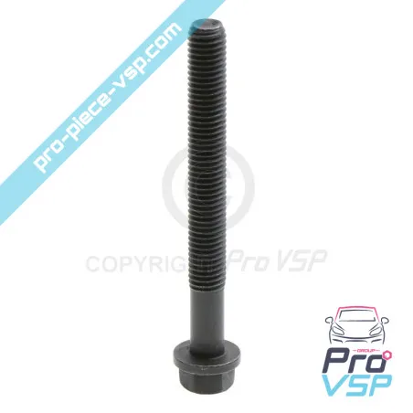 Tornillo de cabeza de cilindro Lombardini focs y progress