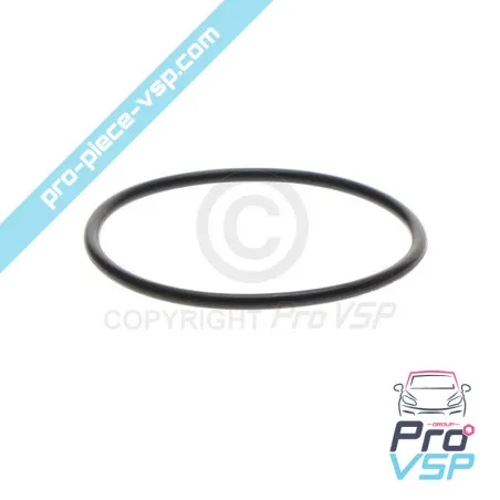 Filtro dell'aria O-ring