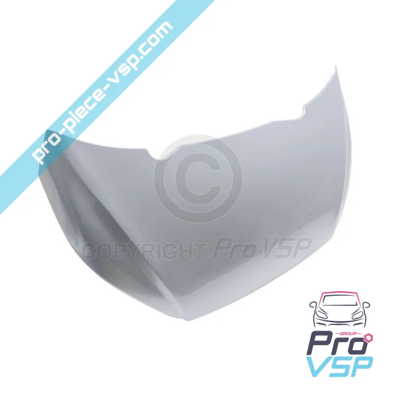 Panneau extérieur de capot ( gris argent ) pour Aixam Sensation