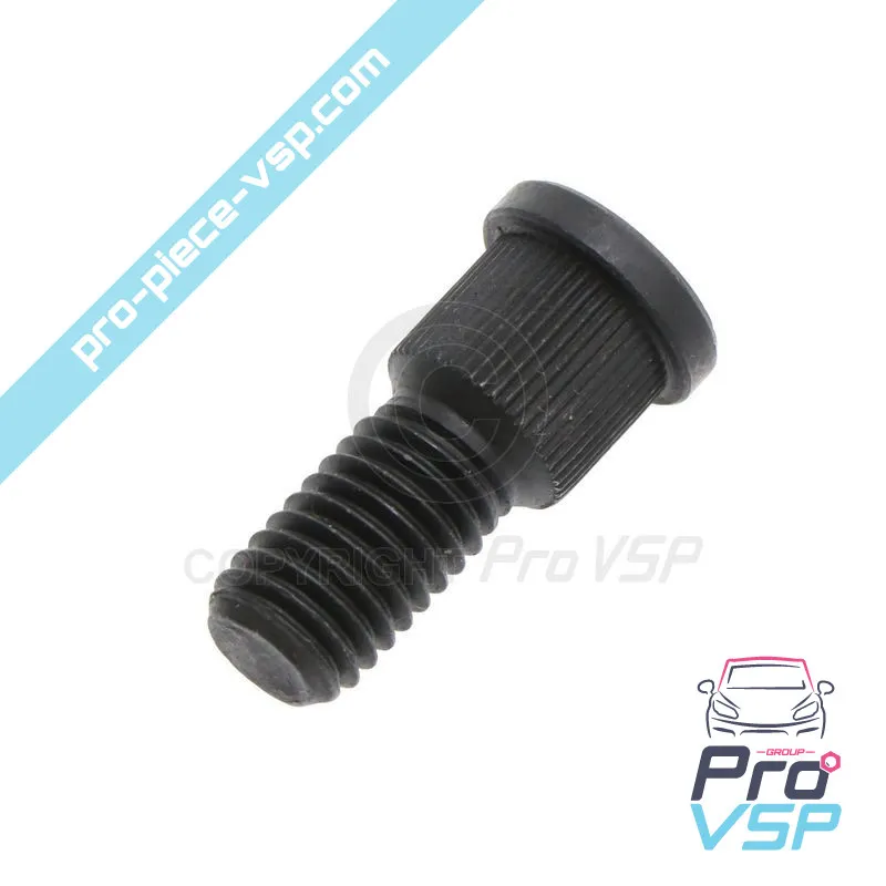 %product-name% / %summary% / %shop-name%