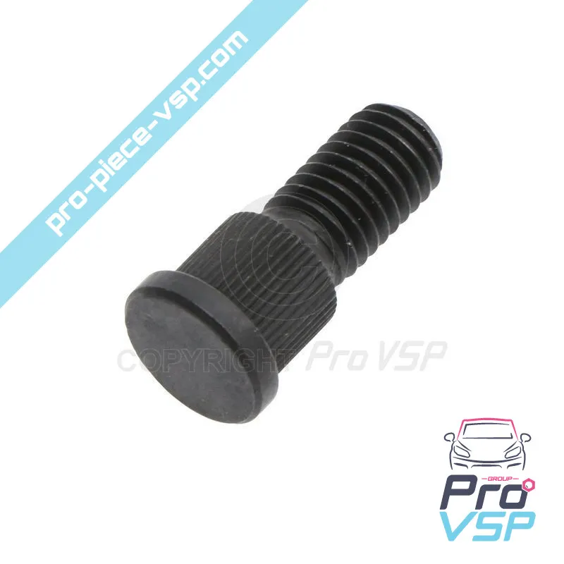 %product-name% / %summary% / %shop-name%