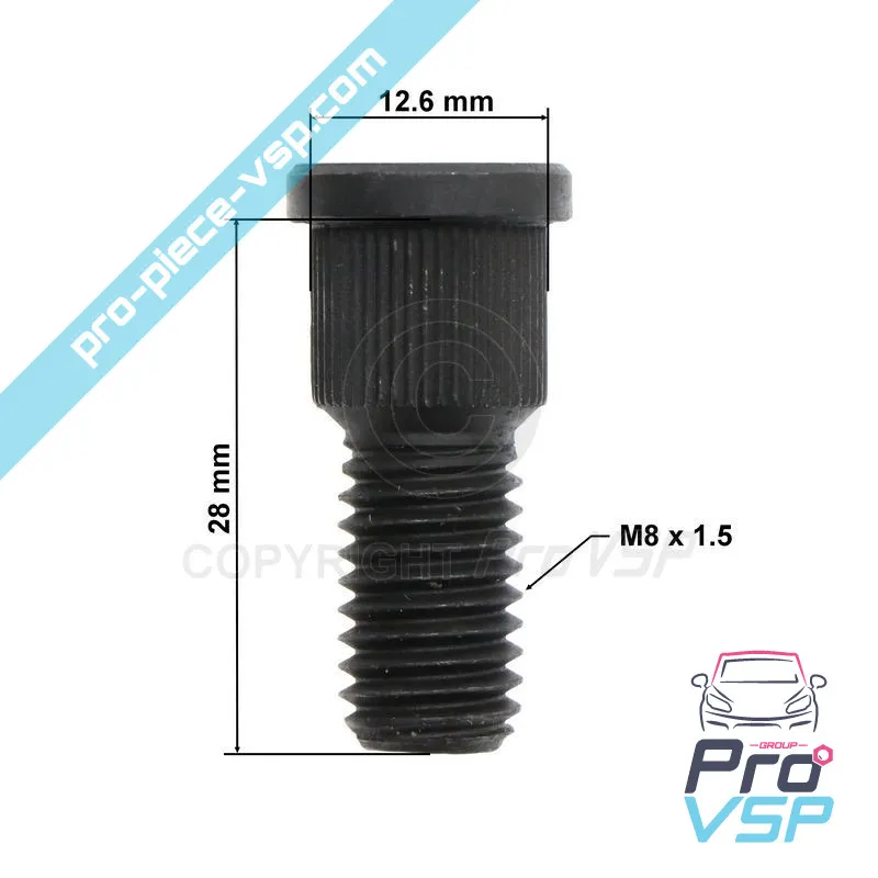 %product-name% / %summary% / %shop-name%