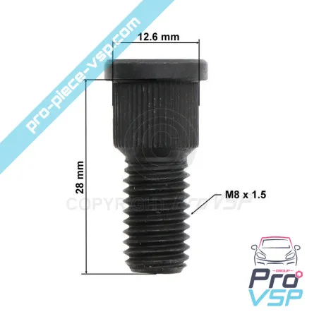 %product-name% / %summary% / %shop-name%