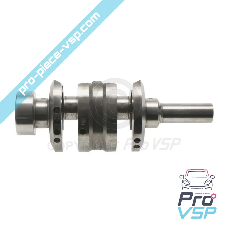 Vilebrequin origine pour moteur Lombardini Progress