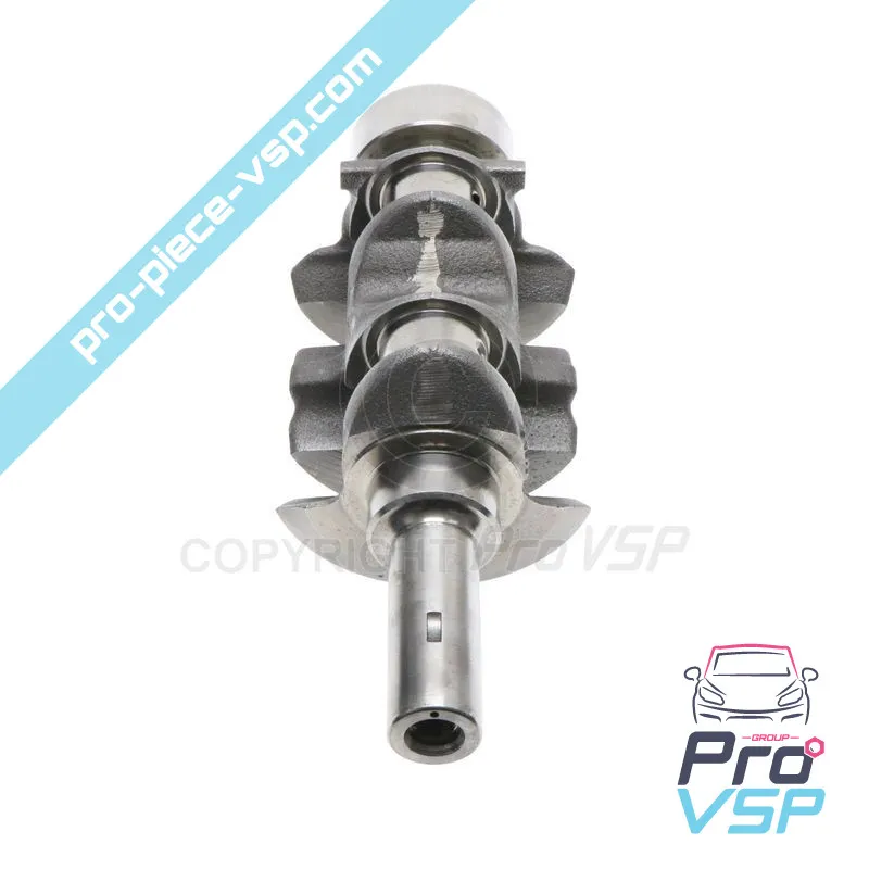 Vilebrequin origine pour moteur Lombardini Progress