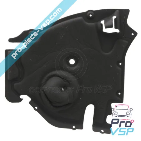 Insonorización de la mejilla izquierda del ala izquierda