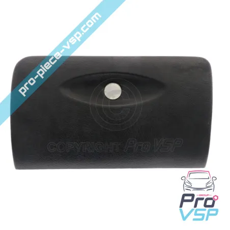 Puerta de caja de guantes