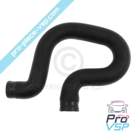 Radiator superior hose