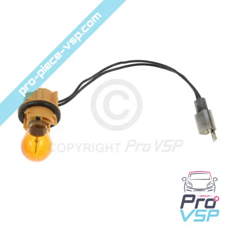 Rear lamp holder right