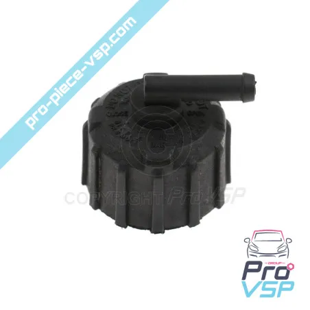 Cappuccio del radiatore