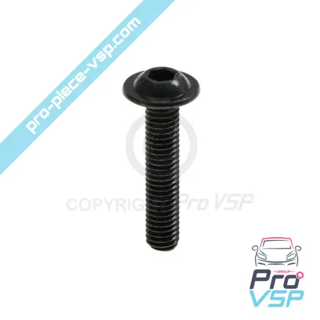 Tornillo de cabeza curvada m6x30