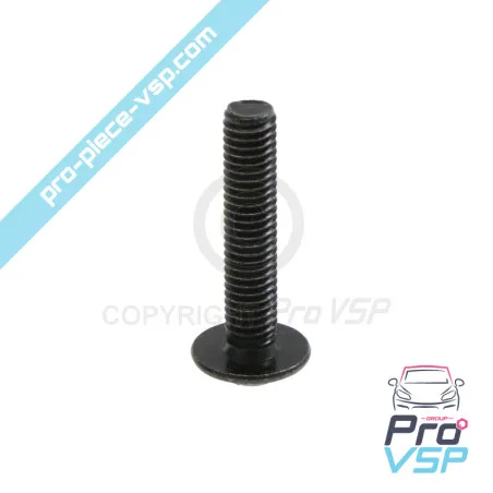 Tornillo de cabeza curvada m6x30