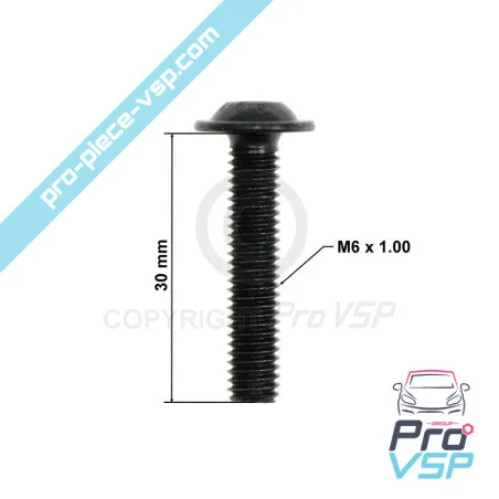 Tornillo de cabeza curvada m6x30