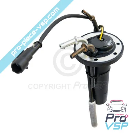 Calibro di carburante