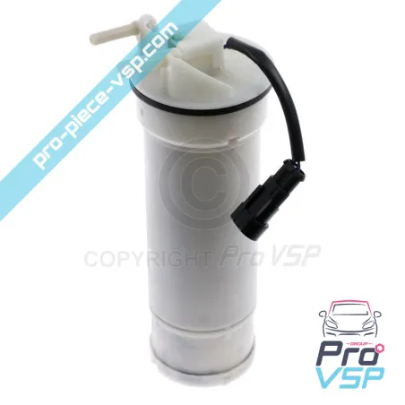 Calibro di carburante