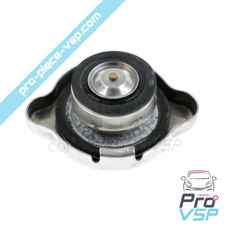 %product-name% / %summary% / %shop-name%