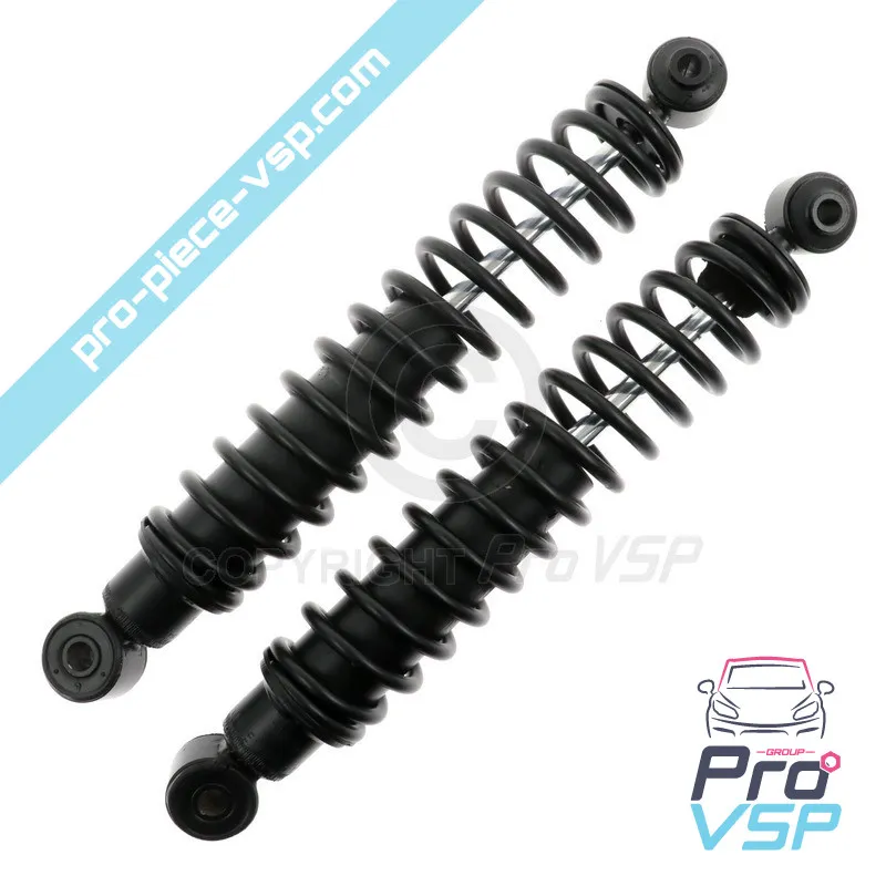 Rear shock absorber