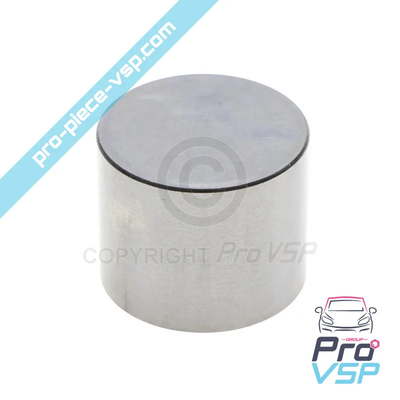 Poussoir de pompe à injection pour moteur Lombardini 6LD325