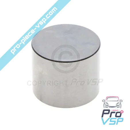 Poussoir de pompe à injection pour moteur Lombardini 6LD325