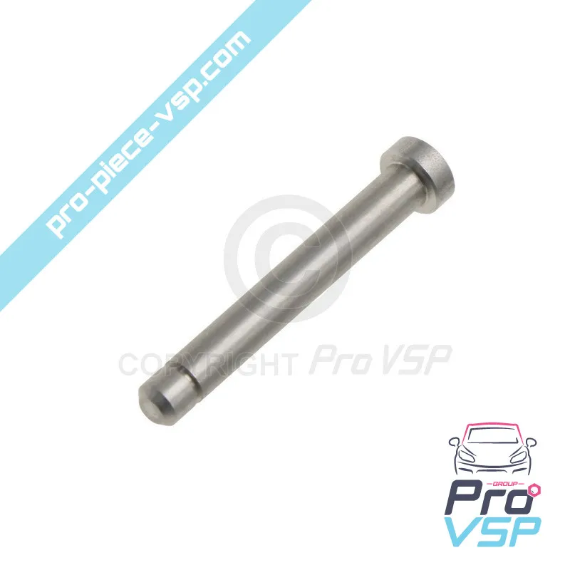 %product-name% / %summary% / %shop-name%