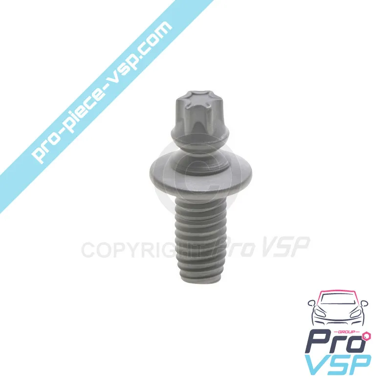 Vis de neiman pour Citroën Ami / Opel Rocks-E / Fiat Topolino