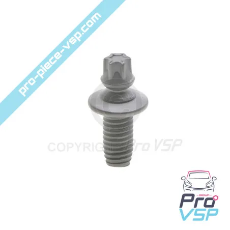 Vis de neiman pour Citroën Ami / Opel Rocks-E / Fiat Topolino