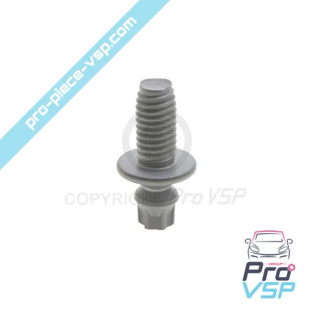 Vis de neiman pour Citroën Ami / Opel Rocks-E / Fiat Topolino