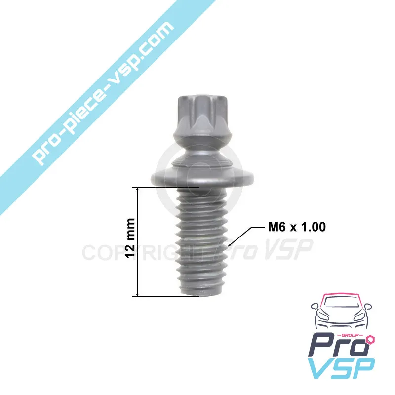 Vis de neiman pour Citroën Ami / Opel Rocks-E / Fiat Topolino