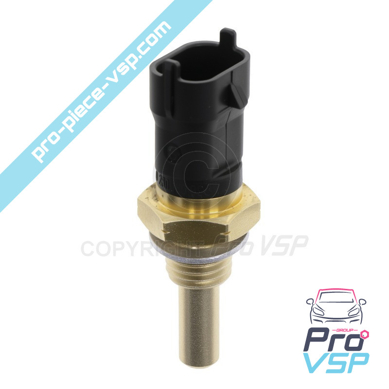 %product-name% / %summary% / %shop-name%