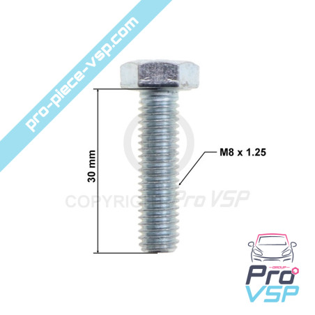 copy of Parafuso m6x45