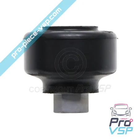 %product-name% / %summary% / %shop-name%